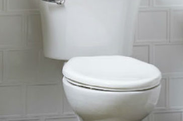 toilet-flush-lever-real-life-makeover-feature-image